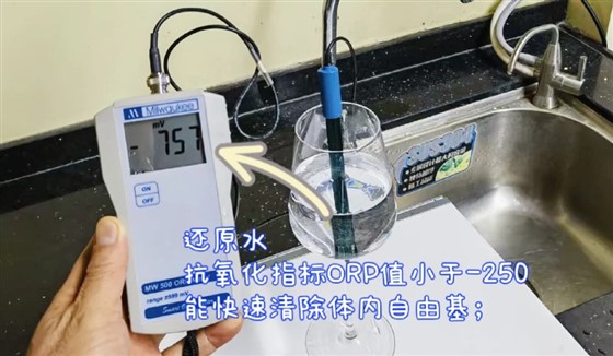 抗氧化指标ORP值小于-250