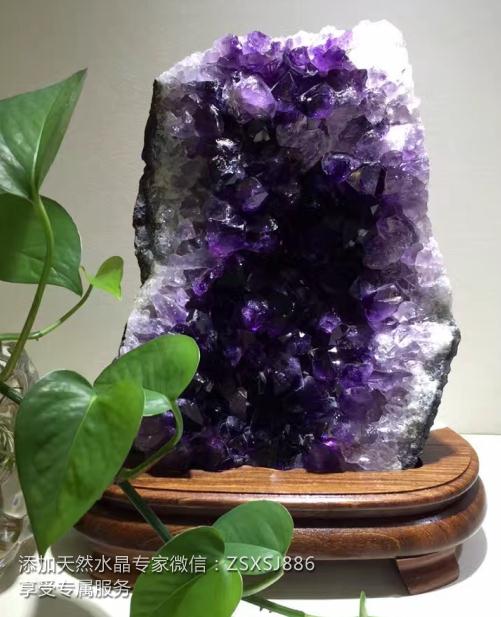 珍石轩天然水晶紫晶簇为什么中国拳王和首富的办公室都放着这个水晶