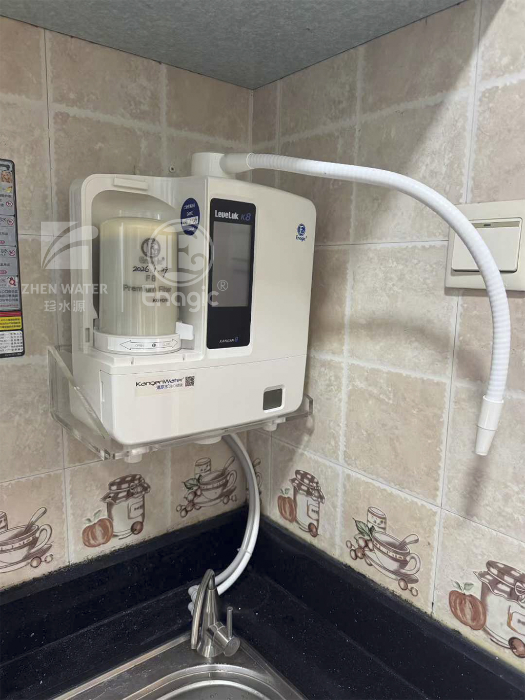 Enagic原装滤芯购买